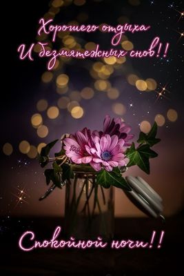 Открытка «Доброй ночи»: Спокойной ночи: цветы и пожелание хорошего сна.