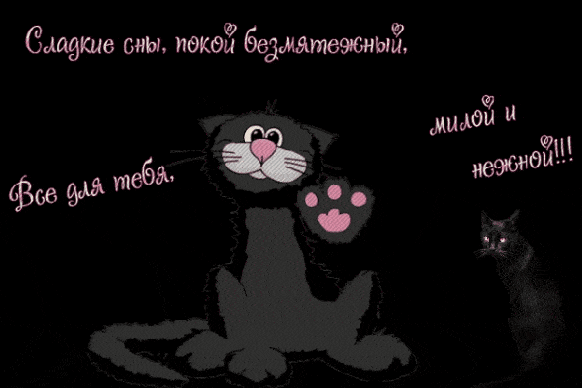 Открытка «Доброй ночи»: Спокойной ночи: черный котик и нежное пожелание сна. Тэги: Спокойной ночи, пожелание, кот…