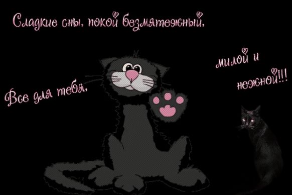 Открытка «Доброй ночи»: Спокойной ночи: черный котик и нежное пожелание сна. Тэги: Спокойной ночи, пожелание, кот…