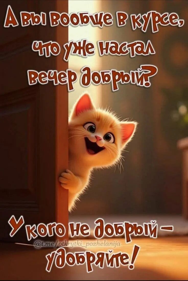 Открытка «Для поднятия настроения»: Добрый вечер: прикольный котенок для настроения. Тэги: Добрый вечер и пожелания…