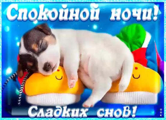 Открытка «Доброй ночи»: Спокойной ночи: Сладких снов с милым щенком. Тэги: Спокойной ночи, Спокойной ночи, с пожелани…