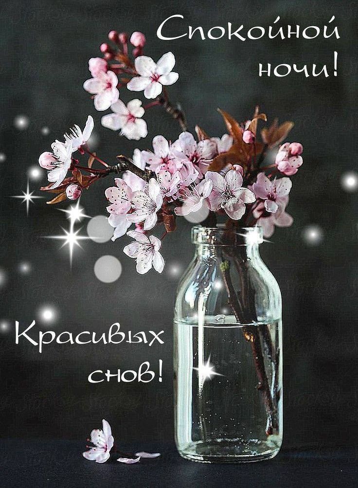Открытка «Доброй ночи»: Спокойной ночи! Нежная открытка с цветами яблони. Тэги: Спокойной ночи, Спокойной ночи…