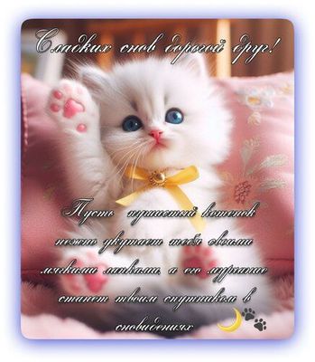Открытка «Доброй ночи»: Спокойной ночи: «Белый котенок» милое пожелание другу. Тэги: Спокойной ночи, Спокойной ночи…