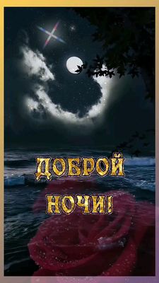 Открытка «Доброй ночи»: Спокойной и доброй ночи: «Роза под луной».