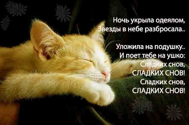 Открытка «Доброй ночи»: Доброй ночи: «Сладких снов» с рыжим котиком. Тэги: Спокойной ночи, Спокойной ночи, красивые…
