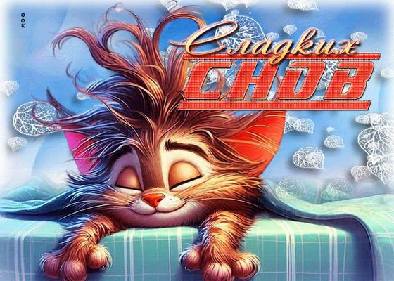 Открытка «Доброй ночи»: Спокойной ночи: прикольный кот желает сладких снов. Тэги: Спокойной ночи, Спокойной ночи…