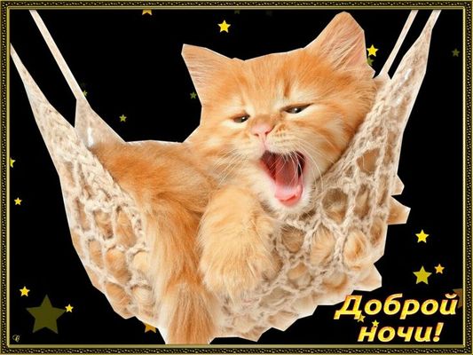 Открытка «Доброй ночи»: Доброй ночи: рыжий кот в гамаке под звездами. Тэги: Спокойной ночи, классный, Спокойной ночи…