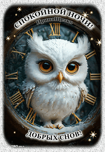 Открытка «Доброй ночи»: Доброй ночи: Белая сова и магические часы. Тэги: Спокойной ночи, Спокойной ночи, красивые…