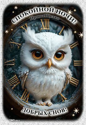 Открытка «Доброй ночи»: Доброй ночи: Белая сова и магические часы. Тэги: Спокойной ночи, Спокойной ночи, красивые…