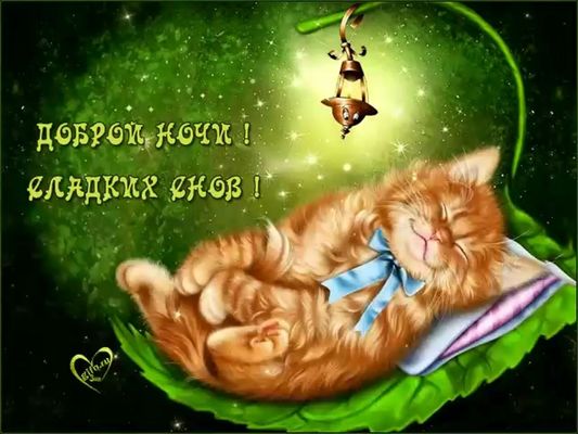 Открытка «Доброй ночи»: Доброй ночи: Спящий рыжий котик на листочке. Тэги: Спокойной ночи, Спокойной ночи, красивые…