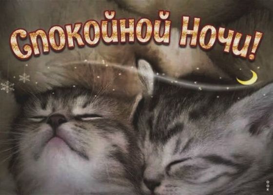 Открытка «Доброй ночи»: Спокойной ночи: Крепкий сон пушистых котят. Тэги: Спокойной ночи, Спокойной ночи, с пожелания…