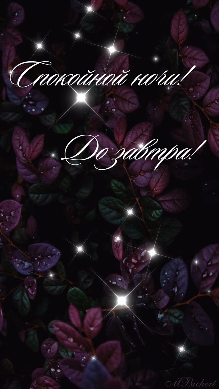 Открытка «Доброй ночи»: Спокойной ночи: стильная открытка «Сияние листьев». Тэги: Спокойной ночи, Спокойной ночи…