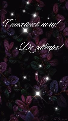 Открытка «Доброй ночи»: Спокойной ночи: стильная открытка «Сияние листьев». Тэги: Спокойной ночи, Спокойной ночи…