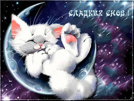 Открытка «Доброй ночи»: Спокойной ночи: «Котенок на луне». Тэги: Спокойной ночи, Спокойной ночи, красивые, Спокойной…