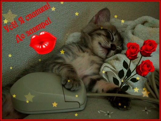 Открытка «Доброй ночи»: Доброй ночи: Спящий котенок с розами и поцелуем. Тэги: Спокойной ночи, Спокойной ночи, с поже…