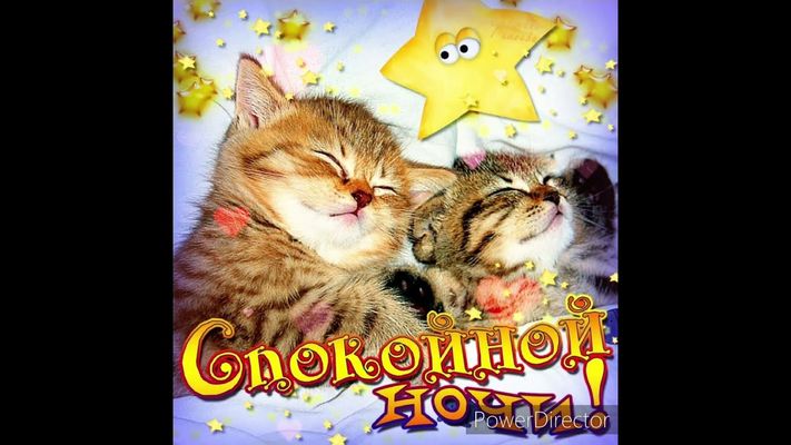 Открытка «Доброй ночи»: Доброй ночи: Милые котята и золотые звезды. Тэги: Спокойной ночи, Спокойной ночи, с пожелания…