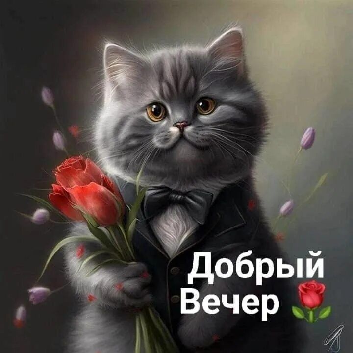 Открытка «Добрый вечер и пожелания»: Добрый вечер: милый кот в костюме с букетом роз. Тэги: Добрый вечер красивые…