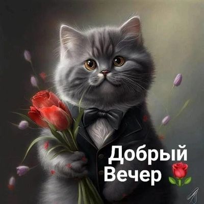 Открытка «Добрый вечер и пожелания»: Добрый вечер: милый кот в костюме с букетом роз. Тэги: Добрый вечер красивые…