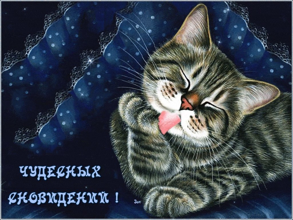 Открытка «Доброй ночи»: Доброй ночи: «Чудесных сновидений» с милым котом. Тэги: Спокойной ночи, Спокойной ночи…