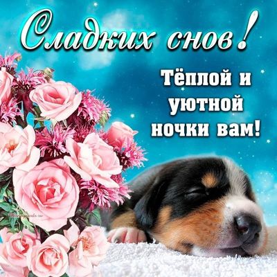 Открытка «Доброй ночи»: Спокойной ночи: Тёплой и уютной ночки вам!. Тэги: Спокойной ночи, Спокойной ночи, красивые…