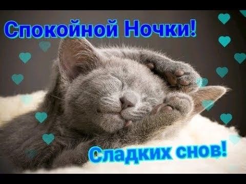 Открытка «Доброй ночи»: Спокойной ночи: Спящий котик и сладкие сны. Тэги: Спокойной ночи, Спокойной ночи, с пожелания…