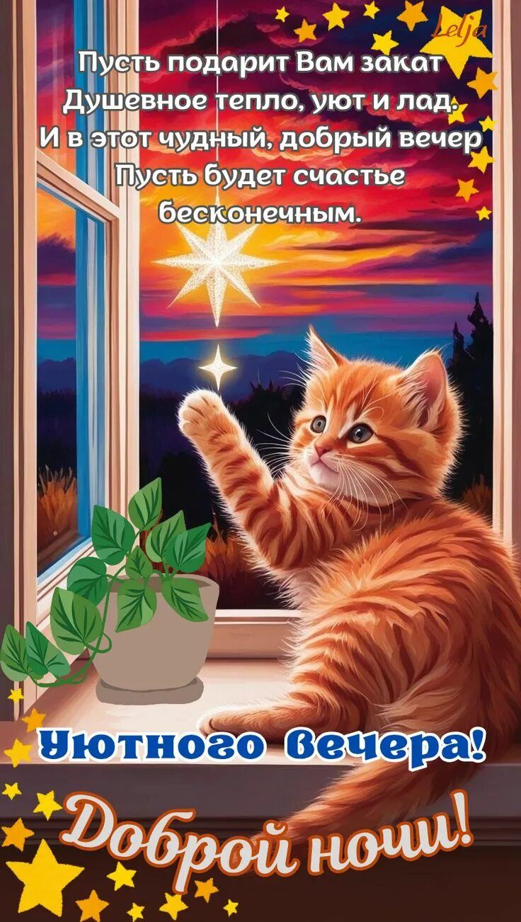 Открытка «Доброй ночи»: Добрый вечер и доброй ночи: рыжий кот у окна. Тэги: Добрый вечер и пожелания, Доброго вечера…