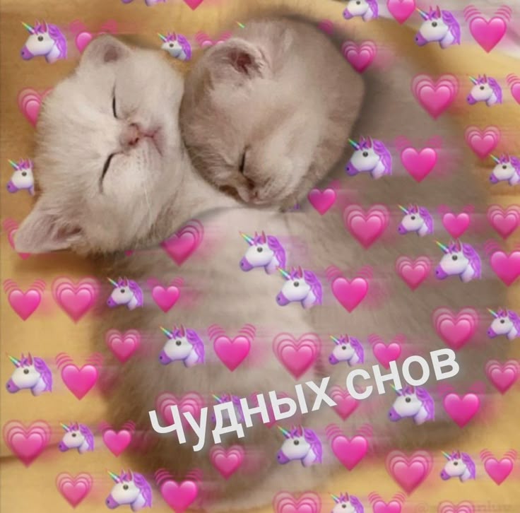 Открытка «Доброй ночи»: Доброй ночи: Чудных снов и милые котята. Тэги: Спокойной ночи, Спокойной ночи, с пожеланиями…