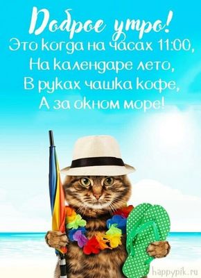 Открытка «С добрым утром»: Доброе утро: идеальное лето, кофе и кот на пляже. Тэги: хорошего дня, кот, пожелание, юмор…