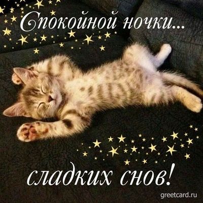 Открытка «Доброй ночи»: Доброй ночи: милый котенок и сладкие сны. Тэги: Спокойной ночи, Спокойной ночи, с пожеланиями…