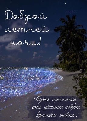 Открытка «Доброй ночи»: Доброй ночи: «Волшебный пляж» и пожелание снов. Тэги: Спокойной ночи, южный, Спокойной ночи…