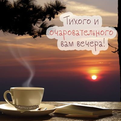 Открытка «Тихий»: Добрый вечер: уютная чашка кофе на закате. Тэги: Добрый вечер и пожелания, Доброго вечера и хорошег…