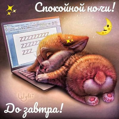 Открытка «Доброй ночи»: Спокойной ночи: прикольная открытка с котиком. Тэги: Спокойной ночи, Спокойной ночи, с пожела…