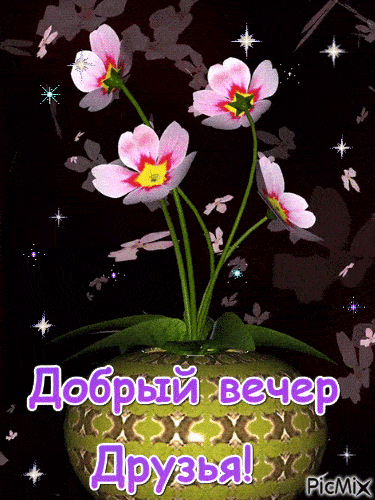 Открытка «Добрый вечер и пожелания»: Добрый вечер, друзья: волшебный букет цветов. Тэги: Добрый вечер красивые…