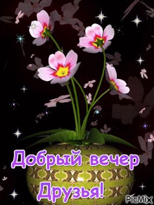 Открытка «Добрый вечер и пожелания»: Добрый вечер, друзья: волшебный букет цветов. Тэги: Добрый вечер красивые…