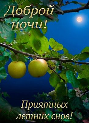 Открытка «Доброй ночи»: Доброй ночи: приятных летних снов под луной. Тэги: Спокойной ночи, Спокойной ночи, красивые…