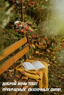 Открытка «Доброй ночи»: Доброй ночи: «Уютная скамейка в осеннем саду». Тэги: Спокойной ночи, Спокойной ночи, красивые…