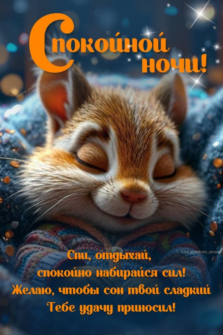 Открытка «Доброй ночи»: Спокойной ночи: милая белка и пожелание сладких снов. Тэги: Спокойной ночи, пожелание, настро…