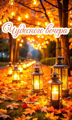 Открытка «Добрый вечер и пожелания»: Добрый вечер: «Чудесного вечера» в осеннем парке. Тэги: Доброго вечера и хорошег…