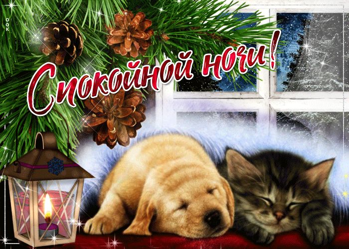 Открытка «Доброй ночи»: Спокойной ночи: Спящие щенок и котенок.