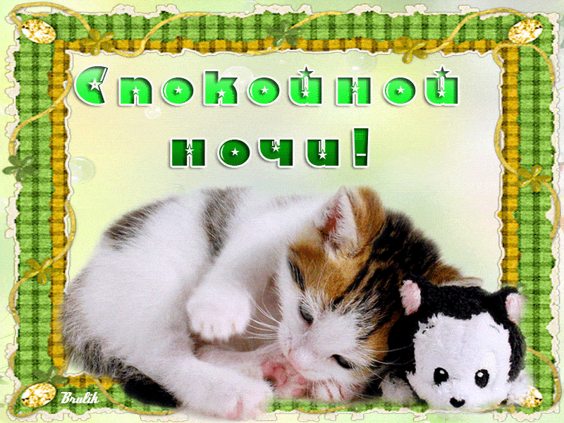 Открытка «Доброй ночи»: Спокойной ночи: милый котенок и плюшевая игрушка. Тэги: Спокойной ночи, пожелание, радость…