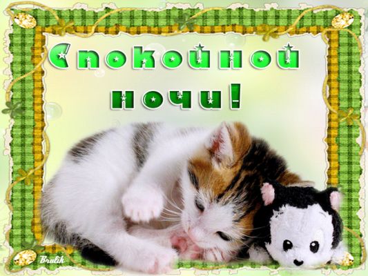Открытка «Доброй ночи»: Спокойной ночи: милый котенок и плюшевая игрушка. Тэги: Спокойной ночи, пожелание, радость…