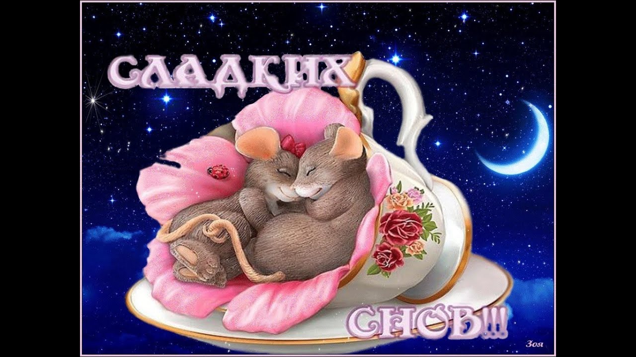 Открытка «Доброй ночи»: Спокойной ночи: Сладких снов в уютной чашке. Тэги: Спокойной ночи, Спокойной ночи, красивые…