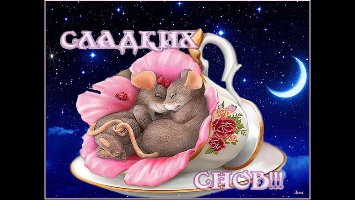 Открытка «Доброй ночи»: Спокойной ночи: Сладких снов в уютной чашке. Тэги: Спокойной ночи, Спокойной ночи, красивые…