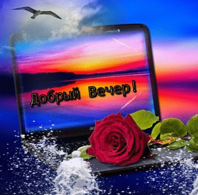 Открытка «Добрый вечер и пожелания»: Добрый вечер! Красивая открытка с розой и закатом. Тэги: Добрый вечер женщине…