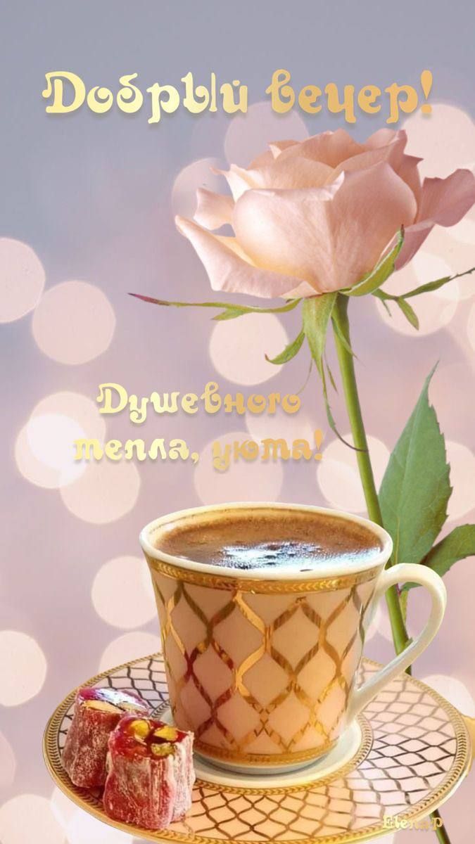 Открытка «Добрый вечер и пожелания»: Добрый вечер! Нежная роза и чашка ароматного кофе. Тэги: Доброго вечера и хороше…