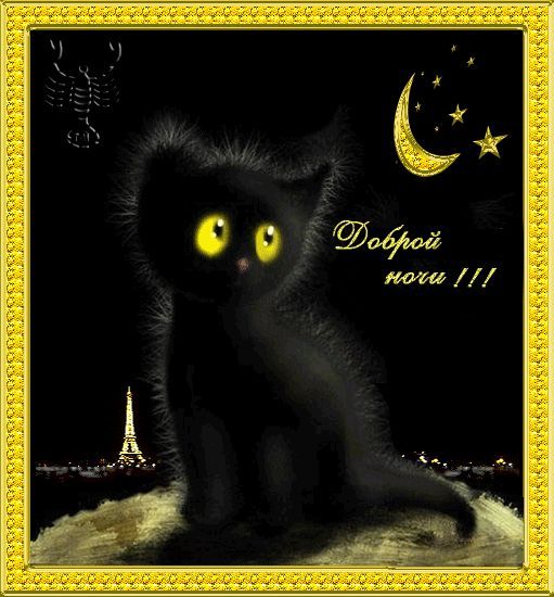 Открытка «Доброй ночи»: Доброй ночи: Милый черный котенок в Париже. Тэги: Спокойной ночи, скорпион, Спокойной ночи…