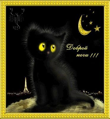 Открытка «Доброй ночи»: Доброй ночи: Милый черный котенок в Париже. Тэги: Спокойной ночи, скорпион, Спокойной ночи…