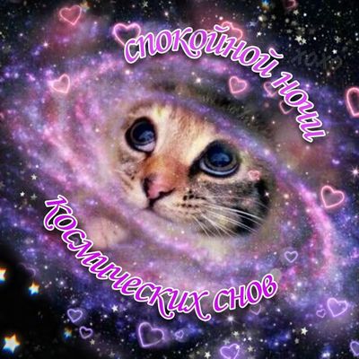 Открытка «Доброй ночи»: Доброй ночи: Космический кот для отличного настроения. Тэги: Спокойной ночи, Спокойной ночи…