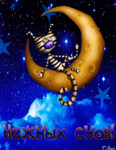 Открытка «Доброй ночи»: Спокойной ночи: прикольный полосатый кот на месяце. Тэги: Спокойной ночи, Спокойной ночи…