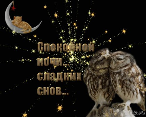 Открытка «Доброй ночи»: Спокойной ночи: совы и рыжий кот на месяце. Тэги: Спокойной ночи, Спокойной ночи, с пожелания…
